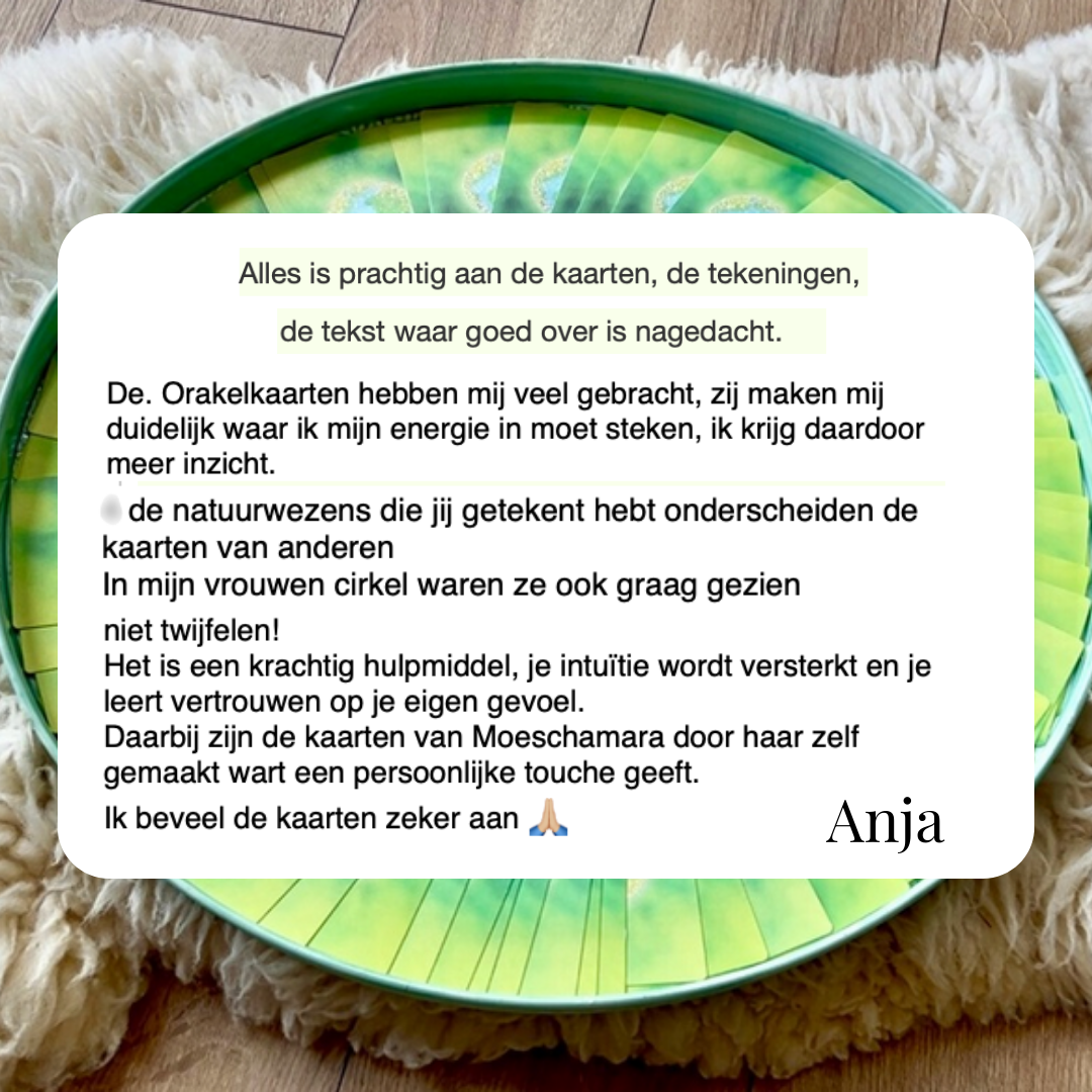 Feedback Anja groter