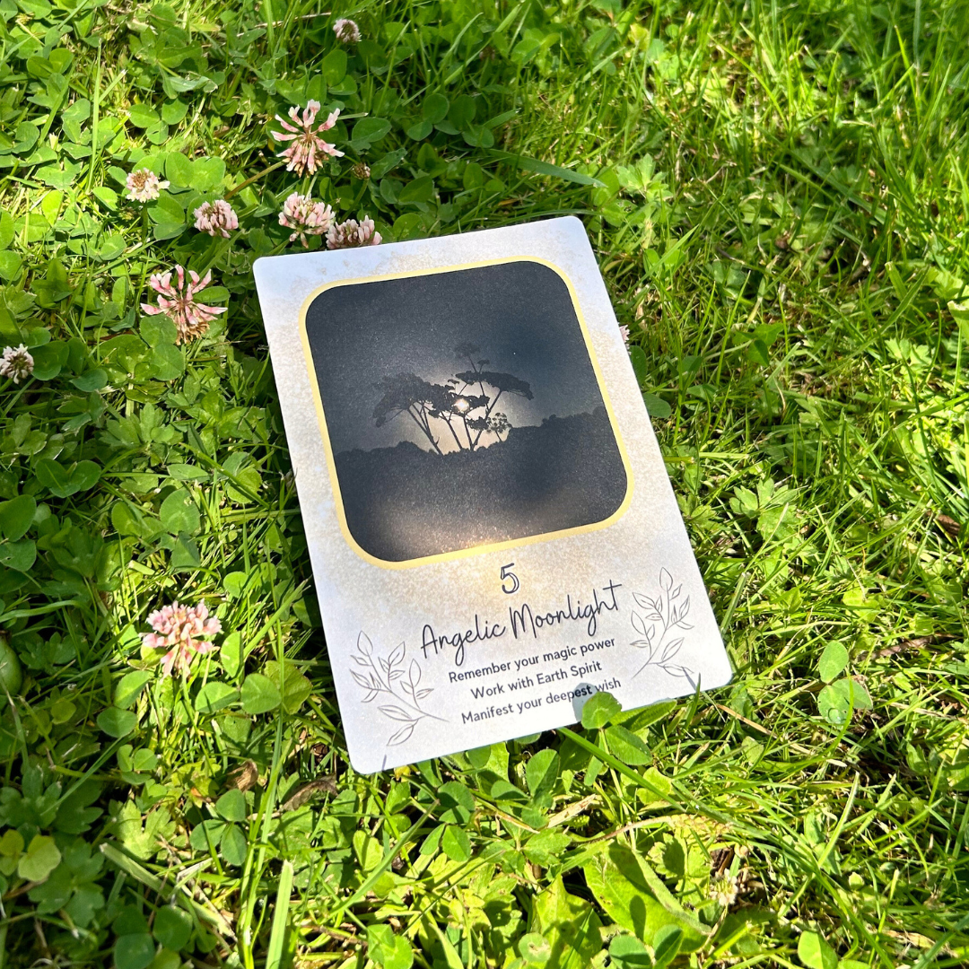 kaartangelicmoonlight